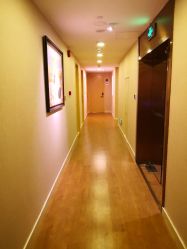 -海豚湾高端月子会所(黄浦店)