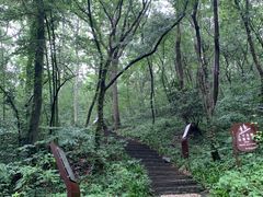-南山风景名胜区