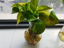 -尚艺造型.剪烫染.接发