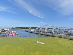 -小麦岛公园