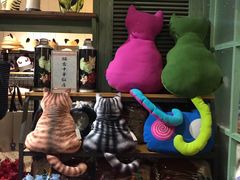 -猫咪博物馆(顶澳仔猫街店)