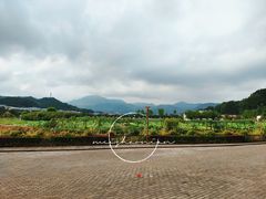-古田会议纪念馆