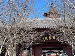 -牛首山文化旅游区