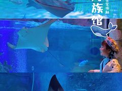 -沈阳海洋探索中心