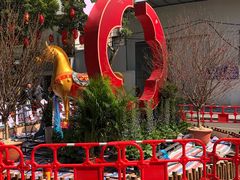 -越秀西湖花市(广州城市广场花卉店)