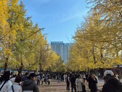 -辽宁大学(崇山校区)