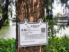 -荔湾湖公园