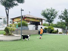 -爪吧宠物乐园·宠物泳池(温榆河示范区店)