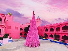 -漳州滨海火山岛自然生态风景区