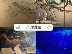 -中国西峡恐龙遗迹园