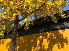 -西园戒幢律寺