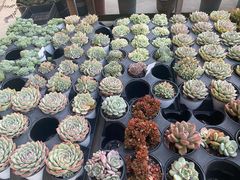-禾气食店