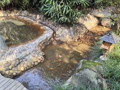 -天赐温泉