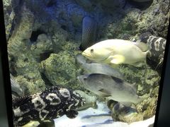 -福州罗源湾海洋世界旅游区