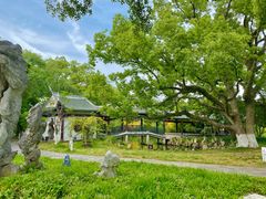 -江心屿景区