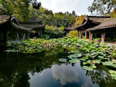 -西溪国家湿地公园