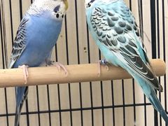 -无名居(西直门总店)