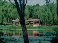 -北坞公园