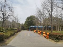 -黄兴公园
