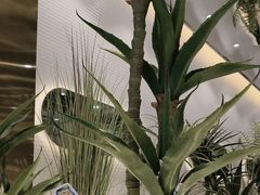 -兰湘子·湘菜小炒(崂山丽达店)