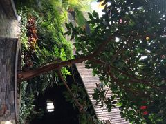 金隅凤山温泉度假村-金隅凤山酒店