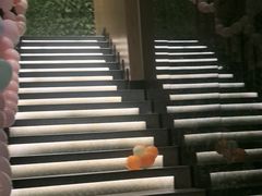 -新紫霞养生·影院足道·SPA(金山区店)