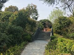 -韩湘水博园