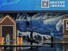 -西安曲江海洋极地公园