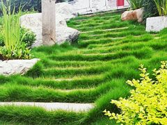 android_upload_pic-中国唐苑