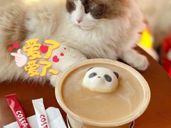 -COSTA COFFEE(房山印象城店)