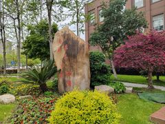 -上海市松江区泗泾医院