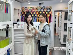 -青奢宠物·青奢猫舍