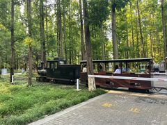 -黄海国家森林公园