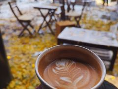 拿铁-VOYAGE COFFEE(北锣鼓巷店)