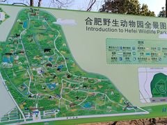 -合肥野生动物园