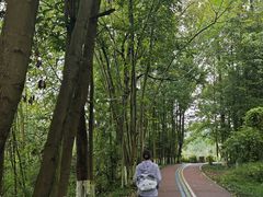 -桤木河湿地公园