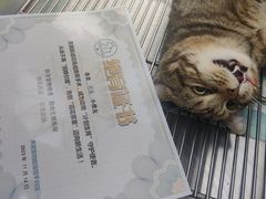 -天宠宠物医院24小时·急重症诊疗中心·全科·腔镜特色(和平分院)