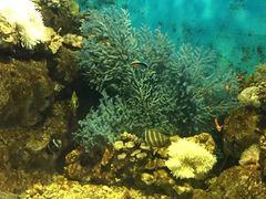 -福州罗源湾海洋世界旅游区