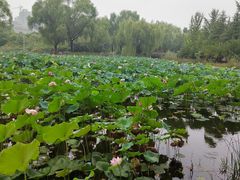 -郑州植物园