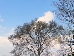 -自然谷恐龙园
