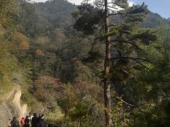 -东天目山风景区