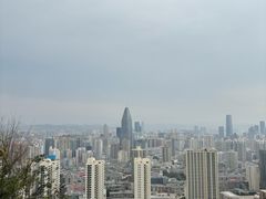 -兰山公园
