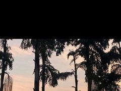 -重庆海昌加勒比海水世界