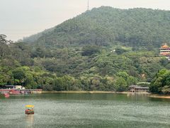 -水濂山森林公园