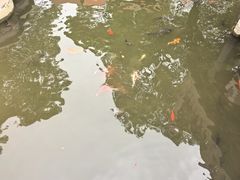 -豫园湖心亭茶楼