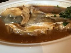-沈灶河豚宴·河豚融合餐厅(汉中路店)