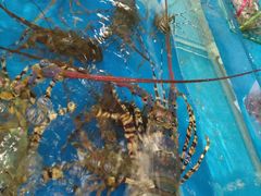 -清水湾3号(东方小周海鲜店)