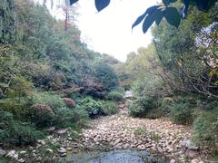 -杭州半山国家森林公园