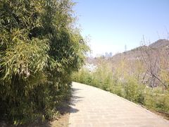 -大连植物园