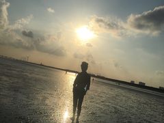 -南汇嘴观海公园